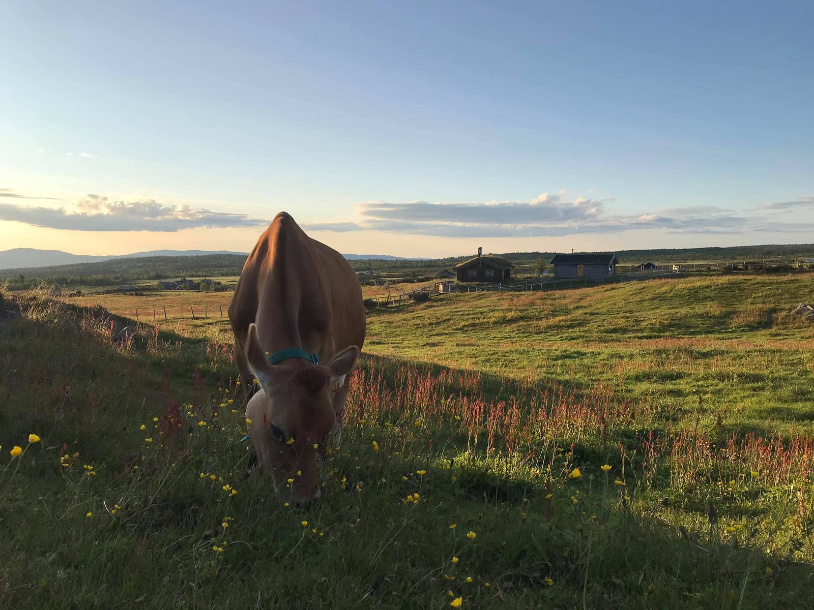 Strandmo Stølsysteri — foto 3