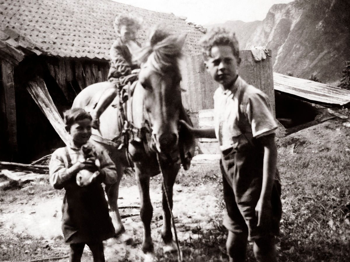 Handlagte bærprodukt og villsvin i Eivindvik — foto 4