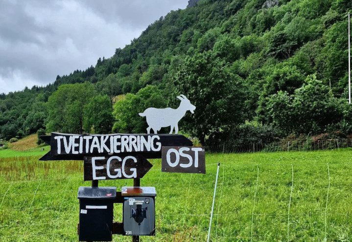 Tveitakjerring — foto 1