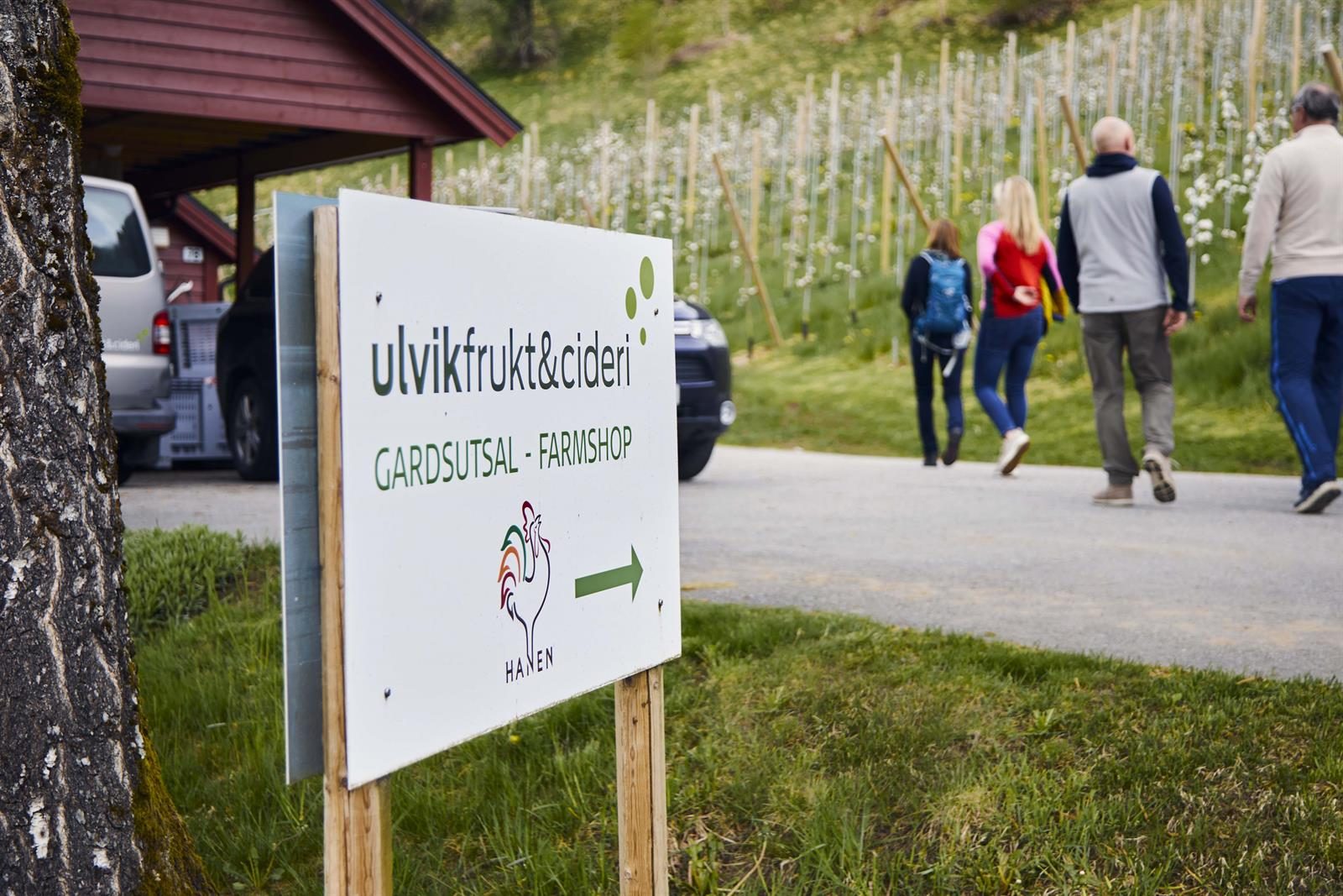 Bilde fra Drop-in på Hardangers første cideri-stopp
