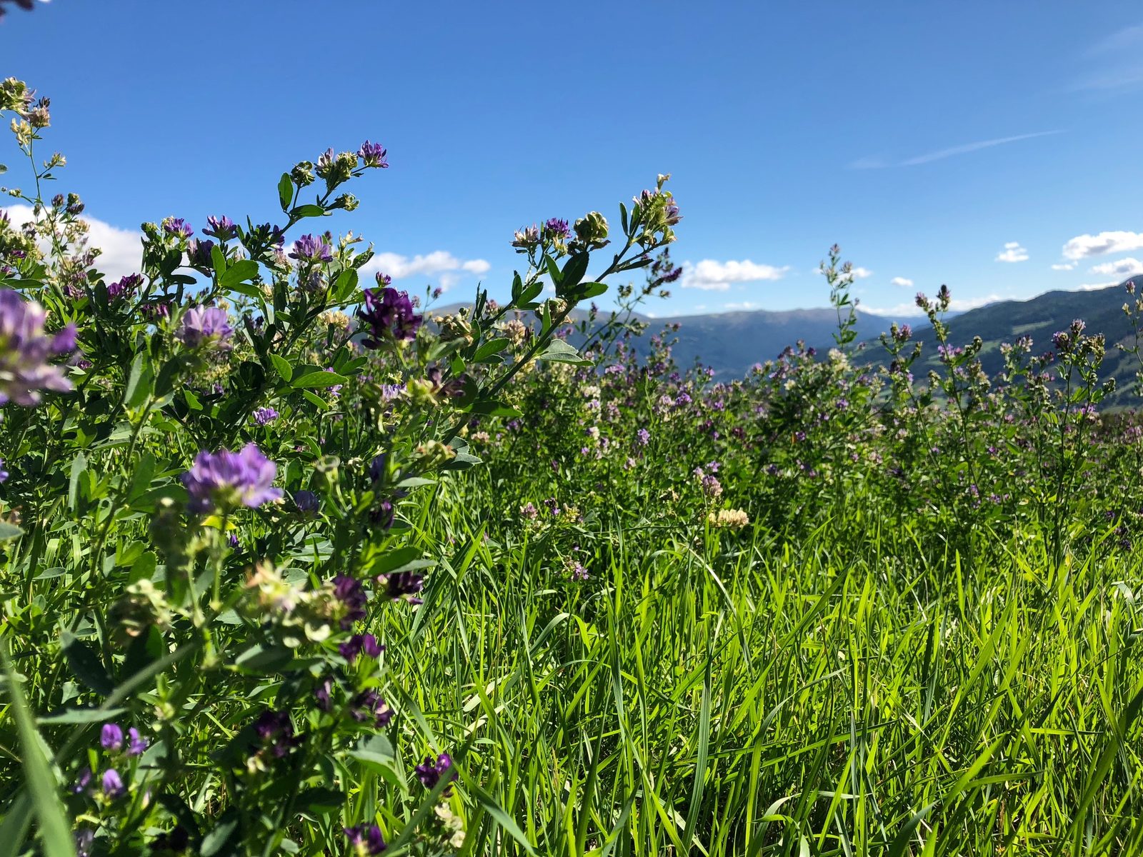 Valbjør Gard — foto 1