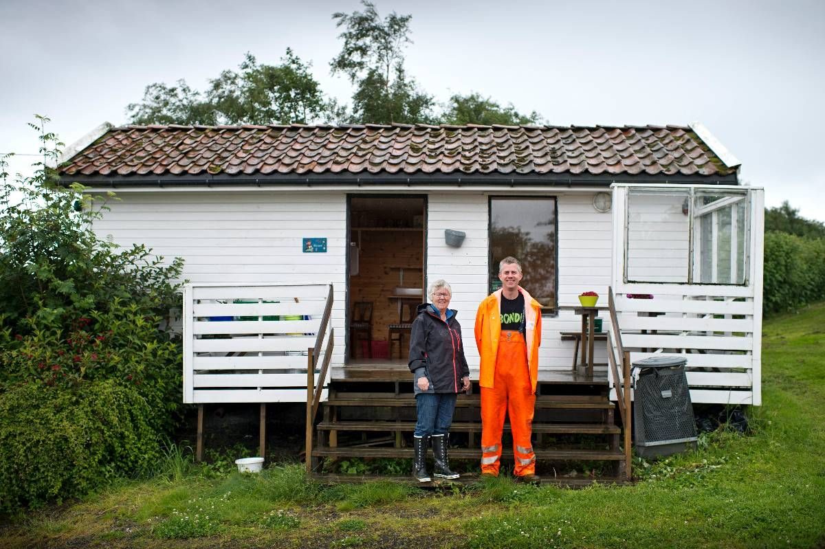 Selvplukk bringebær i Hafrsfjord — foto 2