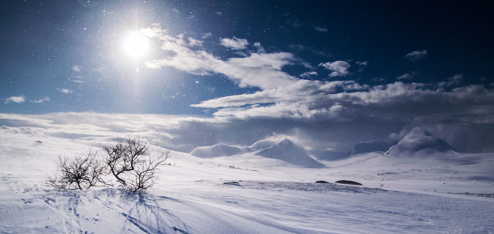 Fjellandskap og urørt furuskog i Blåfjella-Skjækerfjella nasjonalpark i Trøndelag