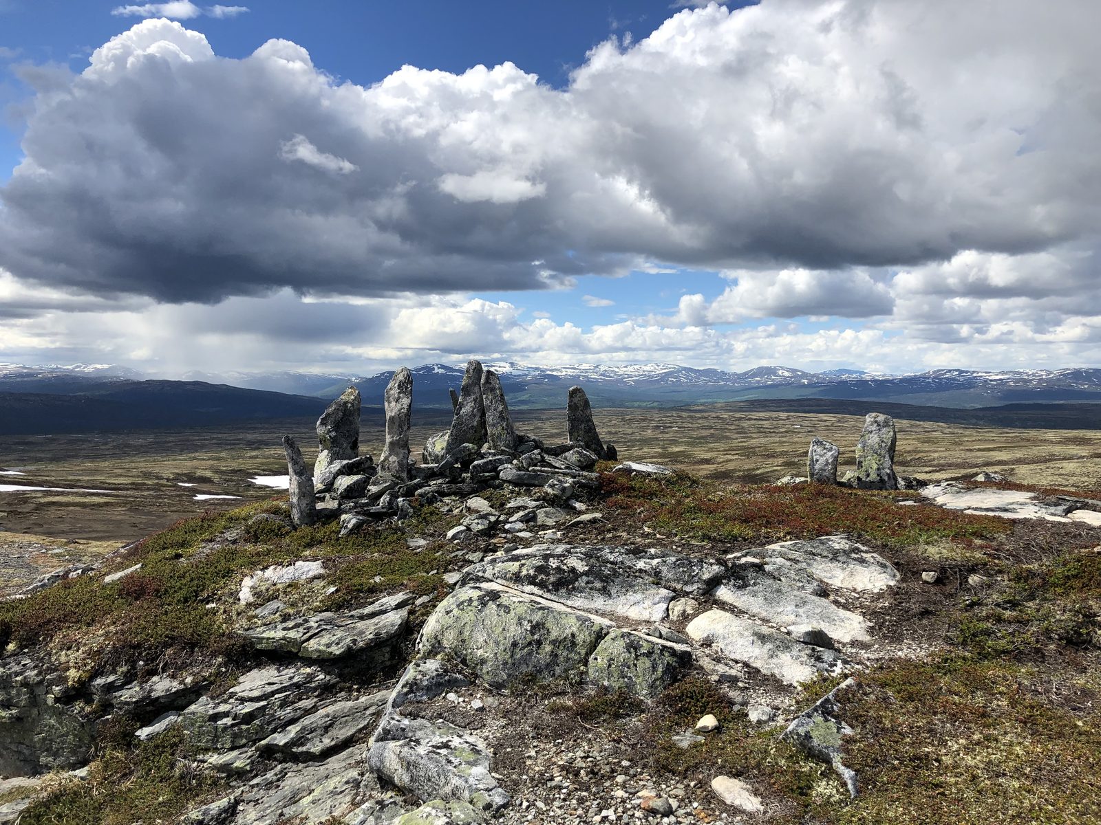 Avrundede høyfjellsplatåer og seterlandskap i Forollhogna nasjonalpark sett fra Vingelen