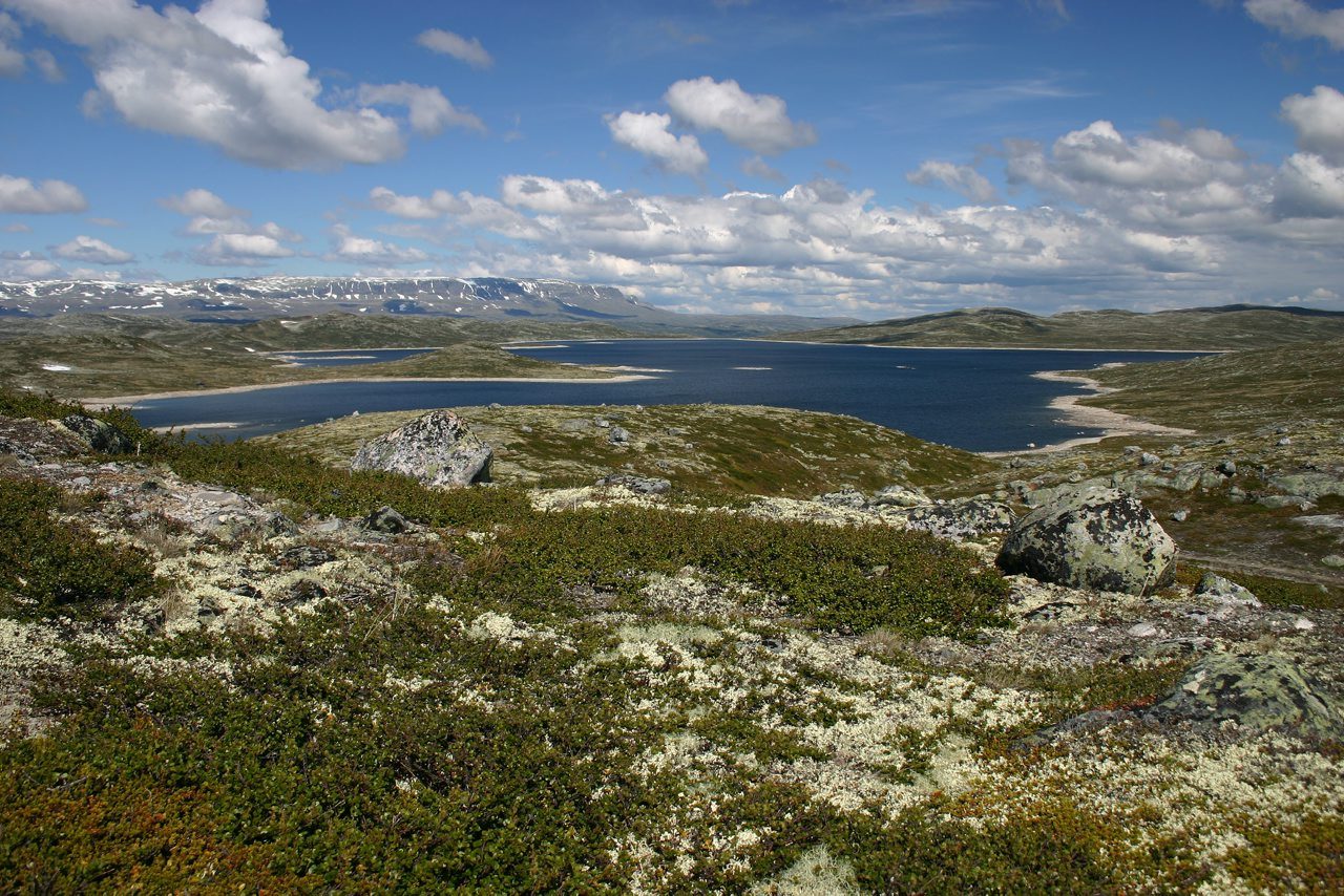 Åpent høyfjellsplatå med myrer og fjelltopper på Hardangervidda nasjonalpark sett mot Hårteigen