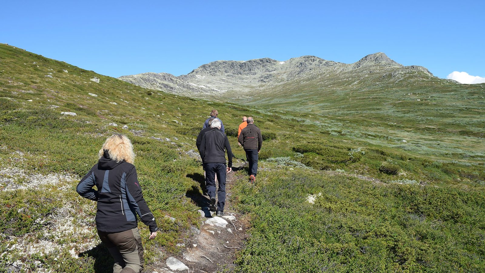 Gammel granskog og lavfjell i Langsua nasjonalpark sett fra Skaget mot Valdres
