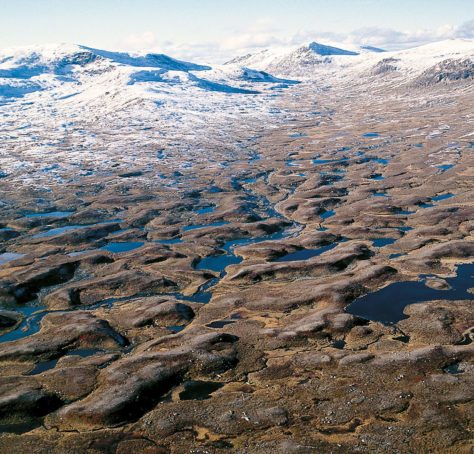 Hestkjøltoppen og lavfjellslandskap i Lierne nasjonalpark sett mot svenskegrensa