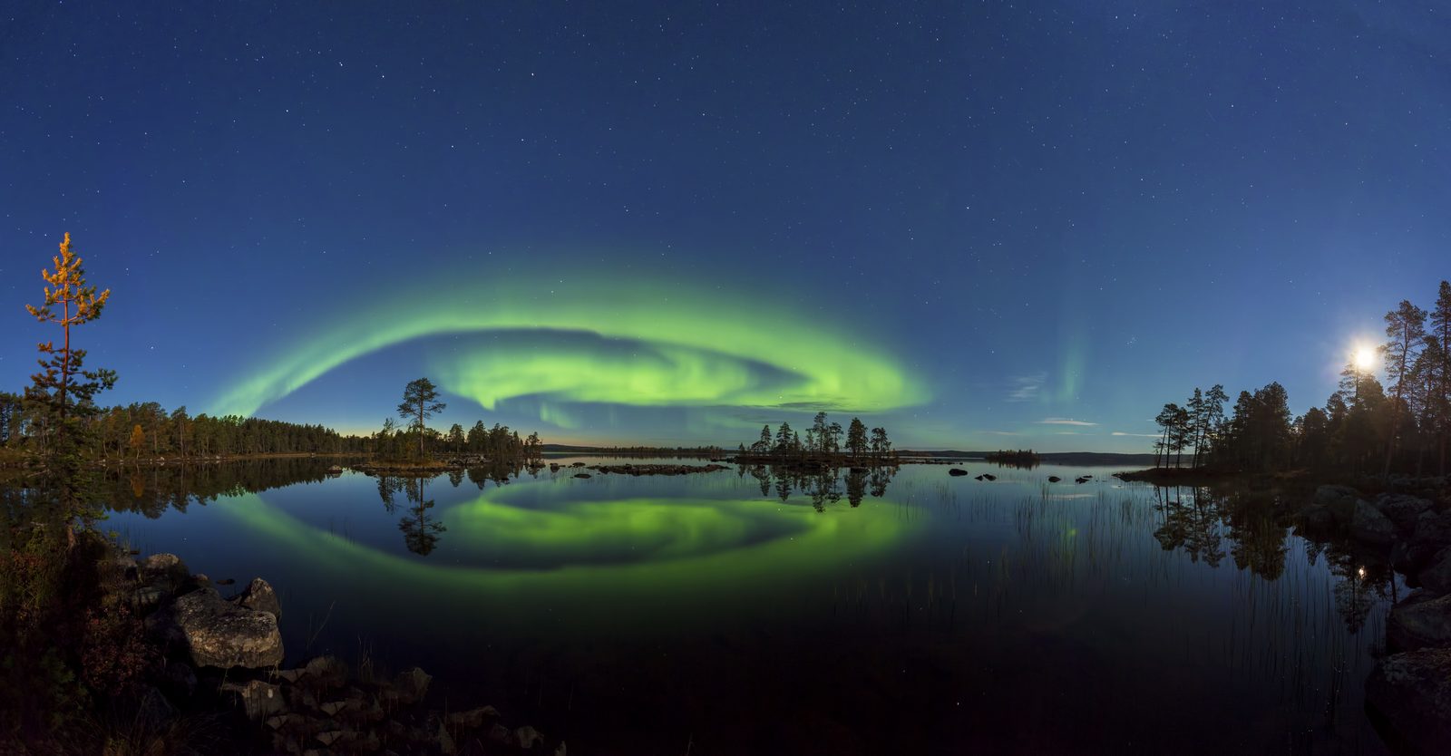 Øvre Pasvik nasjonalpark med urskog av furu og myrer i taigalandskap mot grensa til Russland