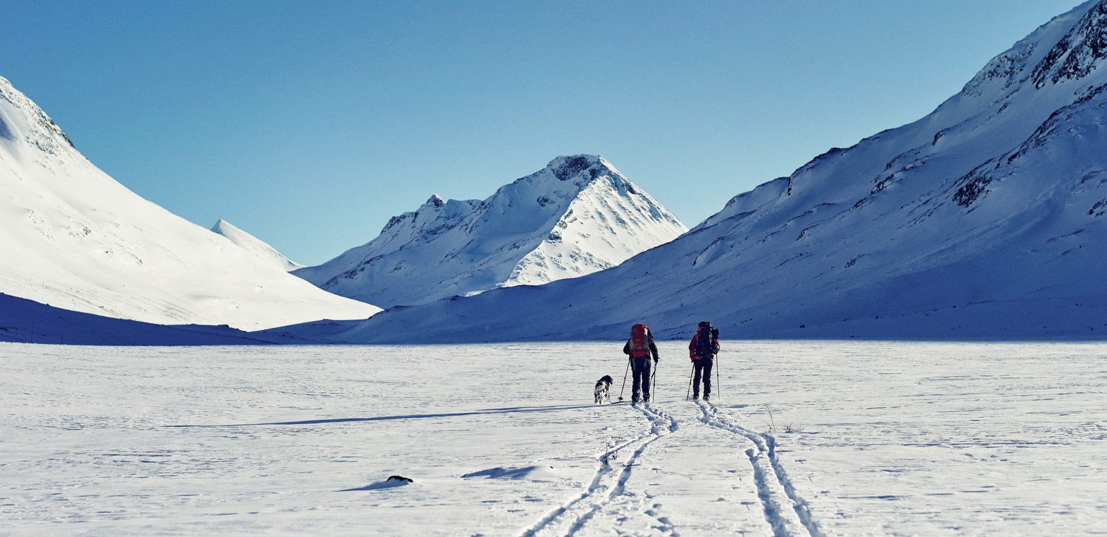 Stabbursdalen nasjonalpark med gammel furuskog og Stabburselva i Finnmarks-landskap